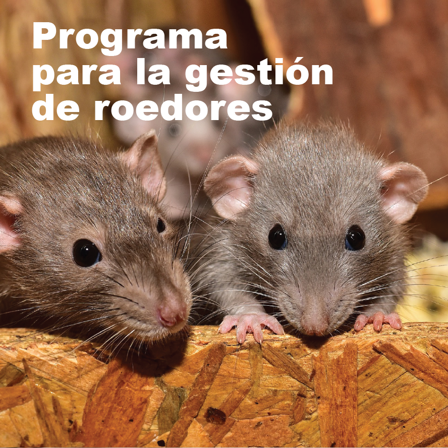 programa para la gestion de roedores