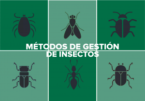 Métodos de control de plagas e insectos comunes rastreros y voladores