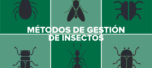 Métodos de control de plagas e insectos comunes rastreros y voladores