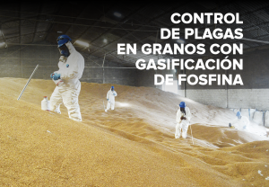 CONTROL de plagas en granos por gasificacion de fosfina