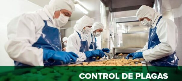 Control de plagas para empresas manufactureras