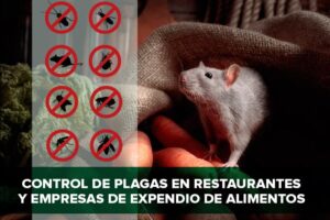 control de plagas en restaurantes
