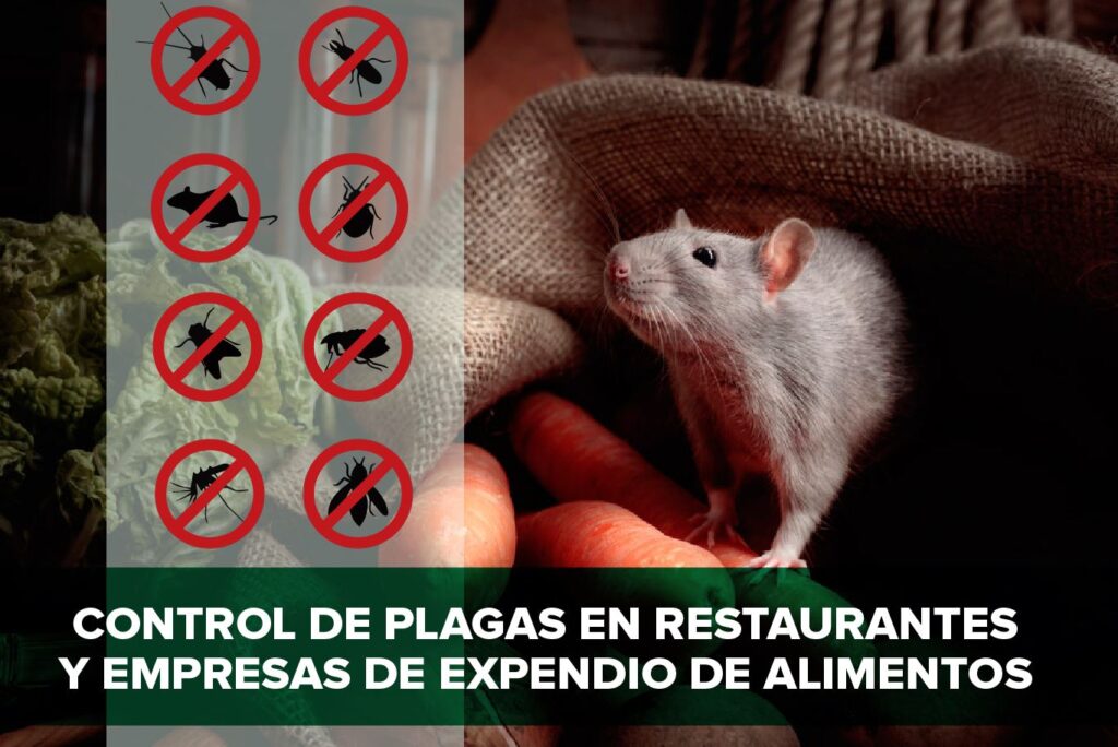 control de plagas en restaurantes y bares de ecuador