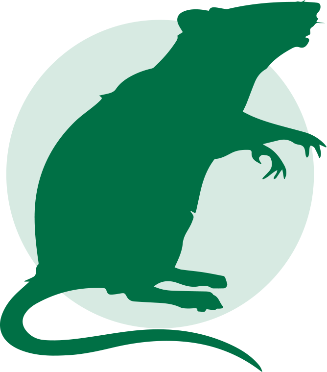 control de roedores en galpones de guayaquil