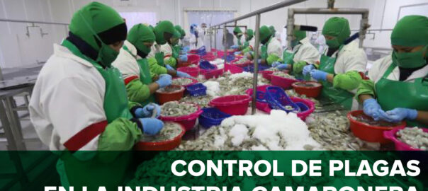 control de plagas en la industria camaronera