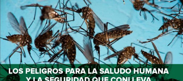 Los peligros para la salud humana y la seguridad que conlleva una infestación de insectos
