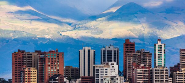 Control de Plagas en Quito y Pichincha: Una Necesidad Imperante