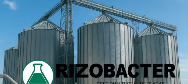 Plagas en Silos