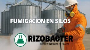 Fumigación en Silos: Técnicas Efectivas para Proteger Granos Almacenados en Ecuador
