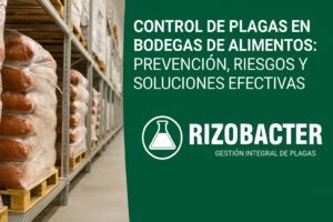 Control de plagas en bodegas de alimentos: prevención, riesgos y soluciones efectivas