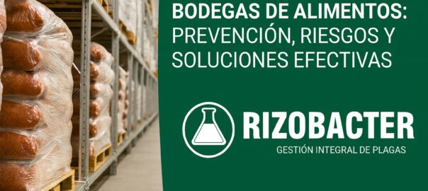 Control de plagas en bodegas de alimentos: prevención, riesgos y soluciones efectivas