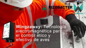 Wingzaway: tecnología electromagnética para el control ético y efectivo de aves