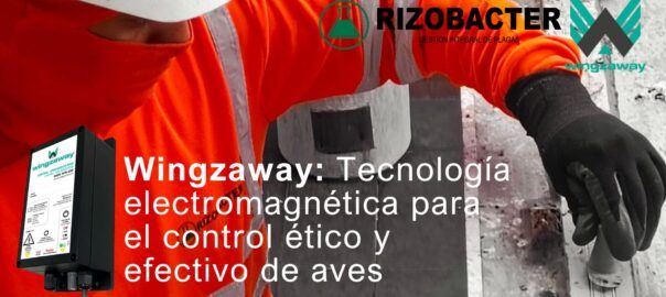 Wingzaway: tecnología electromagnética para el control ético y efectivo de aves