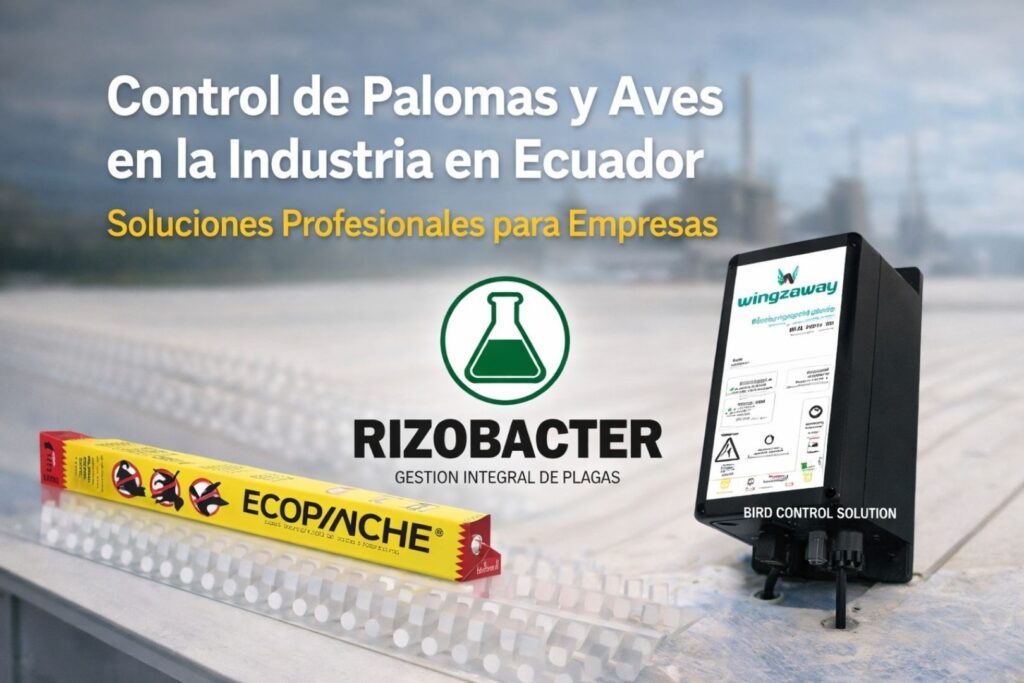 Control de Palomas y Aves en la Industria en Ecuador | Soluciones Profesionales para Empresas