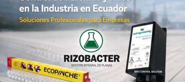 Control de Palomas y Aves en la Industria en Ecuador | Soluciones Profesionales para Empresas
